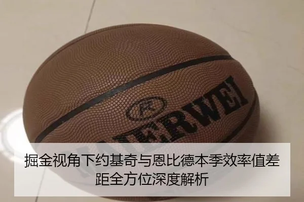 掘金视角下约基奇与恩比德本季效率值差距全方位深度解析